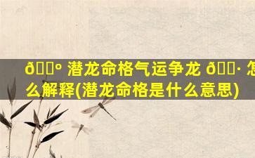 🌺 潜龙命格气运争龙 🌷 怎么解释(潜龙命格是什么意思)